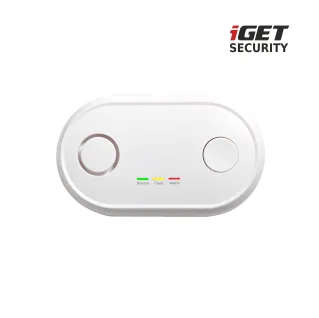 iget_security_mp19_001logo.jpg