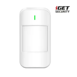 iget_security_mp1_001logo.jpg
