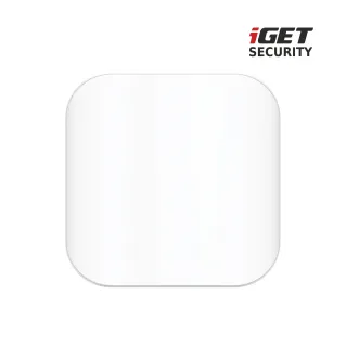 iget_security_mp9_001logo.jpg